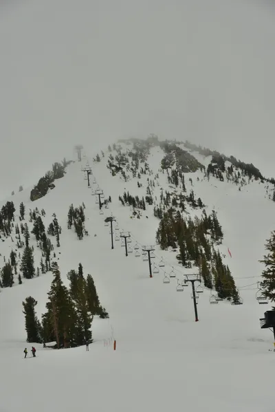 DSC_6749 (Large).JPG